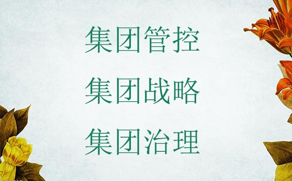 集團(tuán)管控、集團(tuán)戰(zhàn)略以及集團(tuán)治理三者的區(qū)別